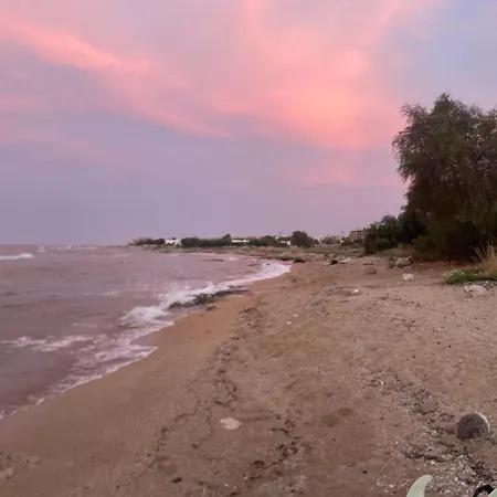 Apartamento Seafront View